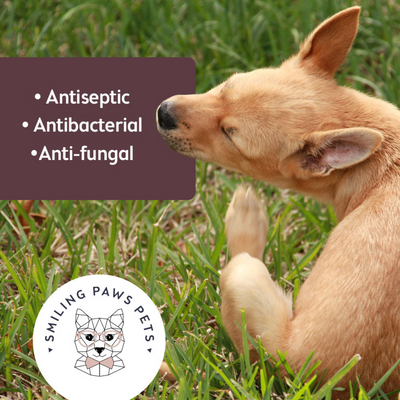 Medicated Wipes For Dogs & Cats - Antiseptic, Antibacteria & Antifungal - Contains Chlorhexidine & Ketoconazole