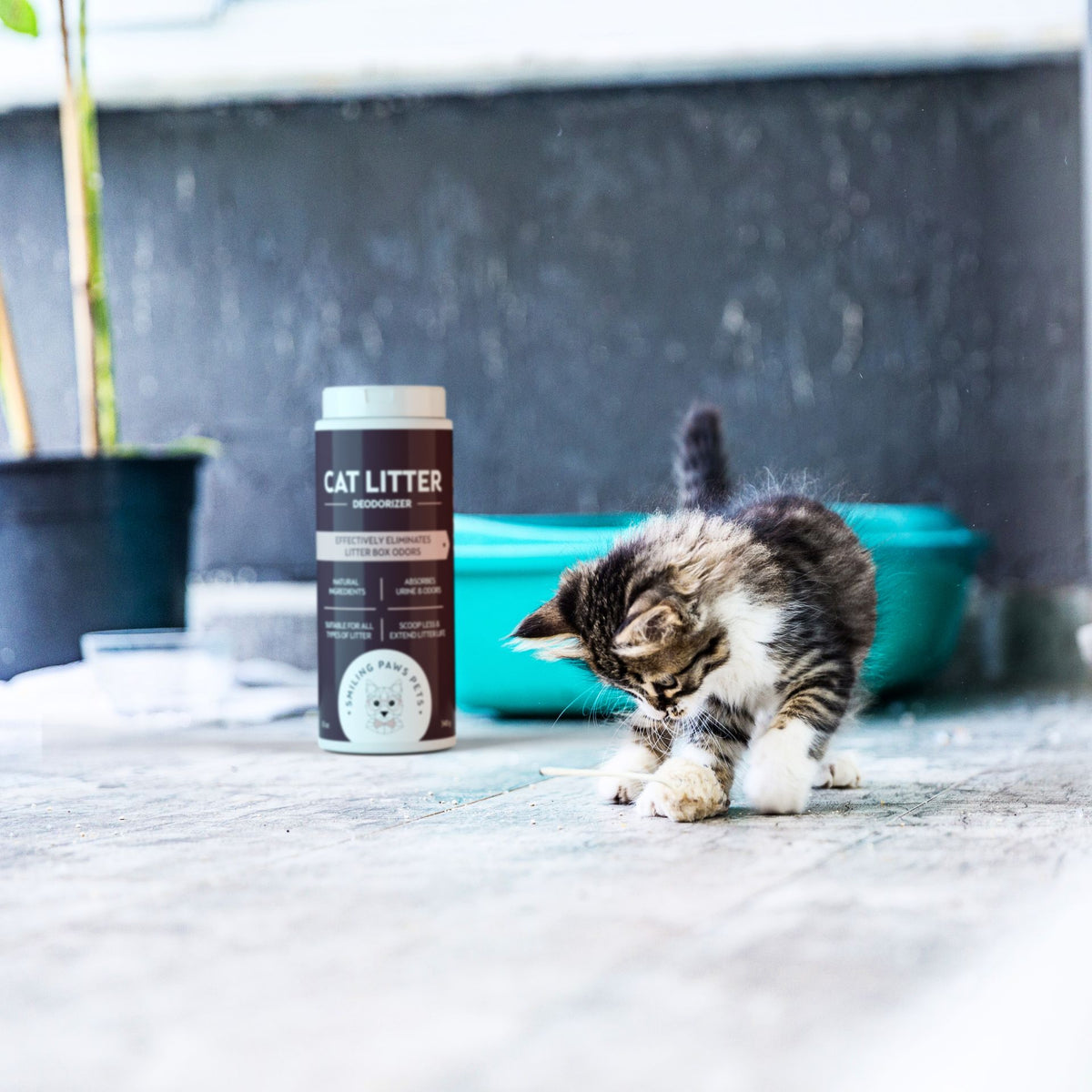 Best Natural Organic Cat Litter Deodorizer & Odor Eliminator 3 Pack