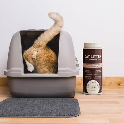 Organic Cat Litter Deodorizer 3 Pack