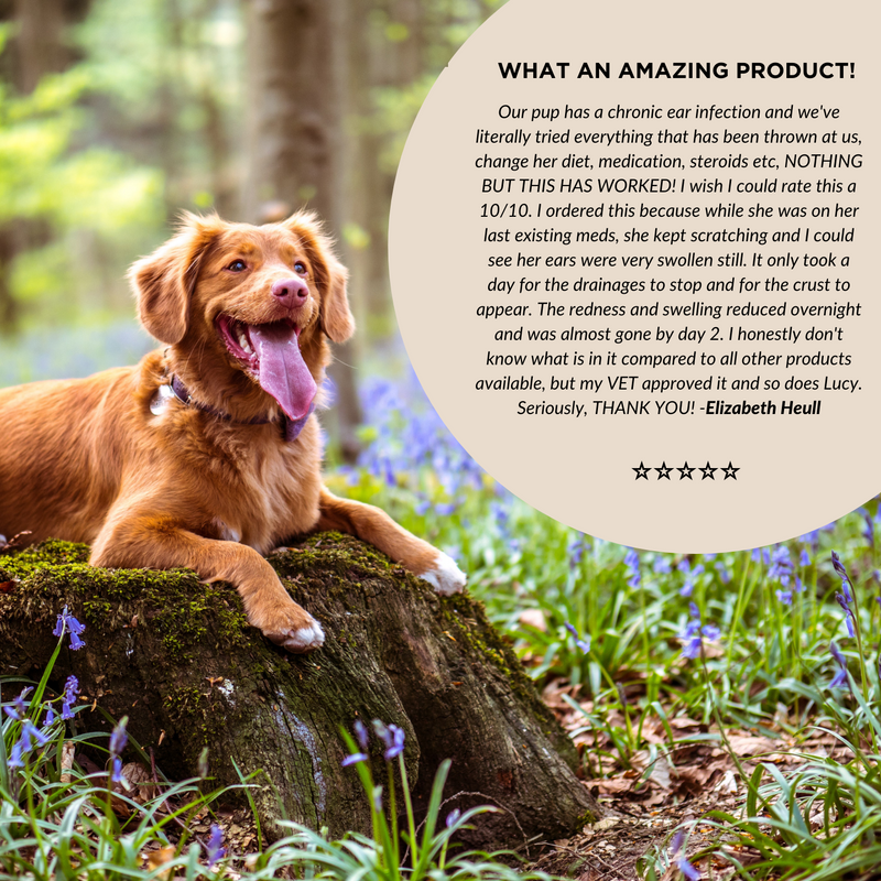 Advanced+ Veterinary Cat & Dog Ear Tris Flush Medicated Ketoconazole Smiling Paws Pets