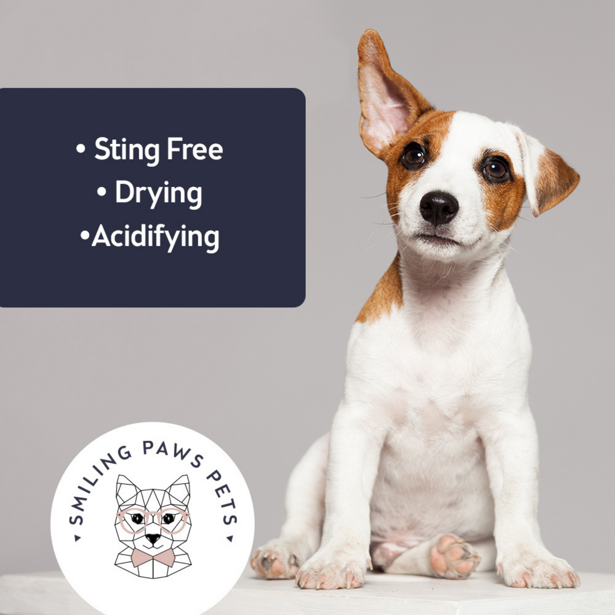 Advanced+ Veterinary Cat & Dog Ear Tris Flush Medicated Ketoconazole