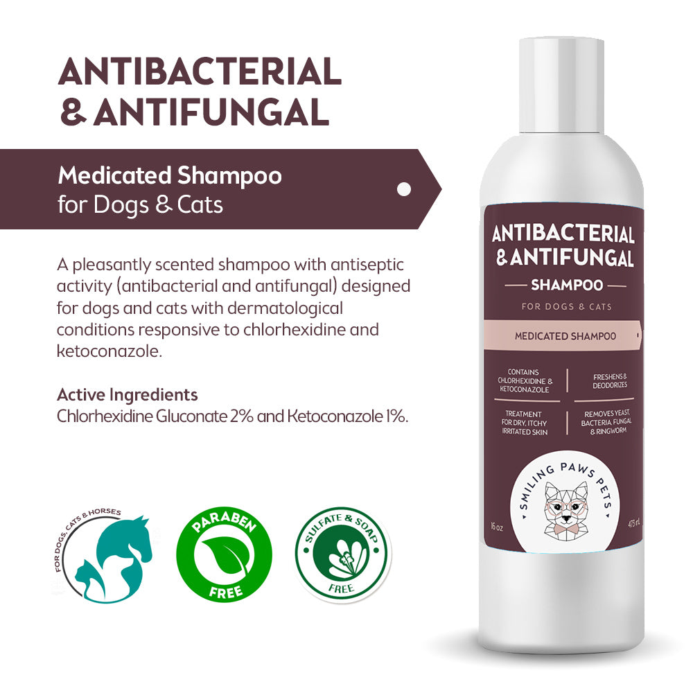 Antifungal medicated outlet shampoo