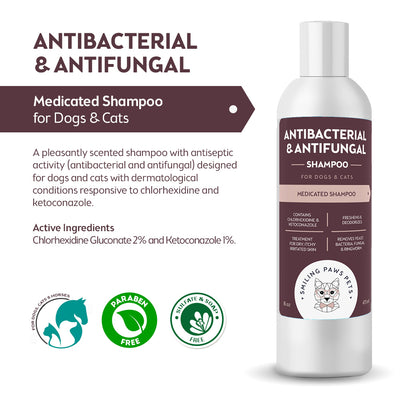 antifungal dog shampoo