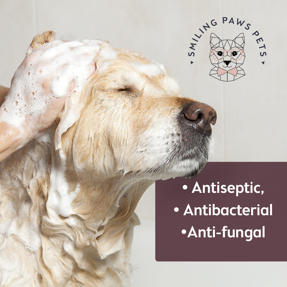 Medicated Pet Shampoo Antifungal Dog Shampoo Smiling Paws Pets