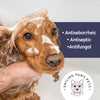 Antiseborrheic shampoo dog