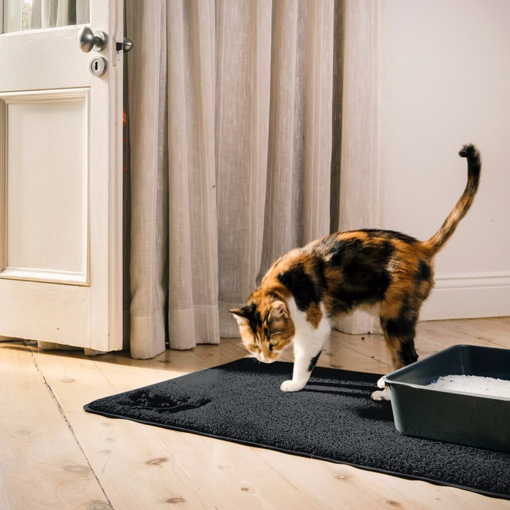 kitty litter mat